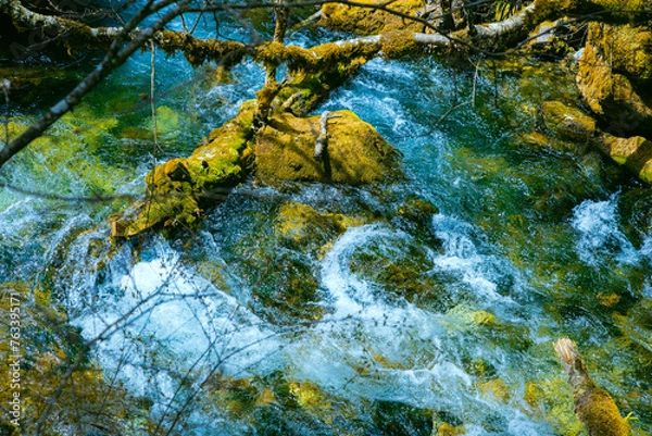 Fototapeta Jiuzhaigou Valley, Aba Qiang and Tibetan Autonomous Prefecture, Sichuan Province - Streams and waterfalls in the forest