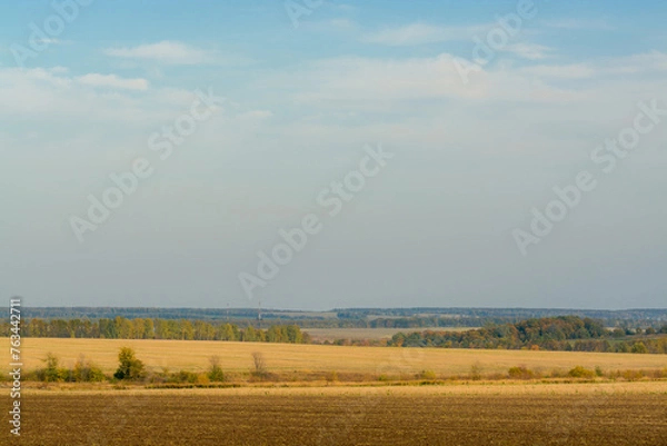 Fototapeta distant landscape of field and forests