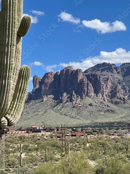 Obraz Desert Landscape