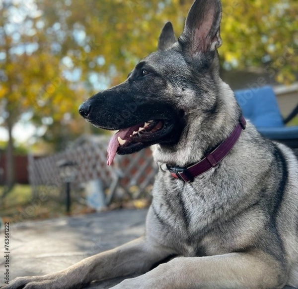 Obraz Afternoon Outside