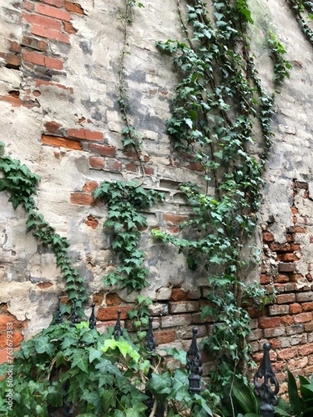 Obraz Southern Brick