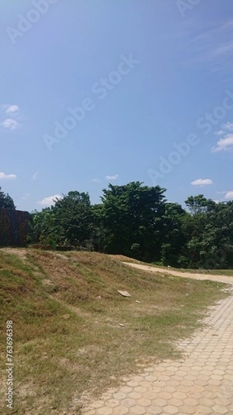 Obraz Trees and clear blue sky