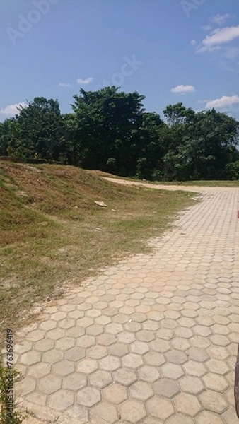 Obraz Path, trees, sky and blue
