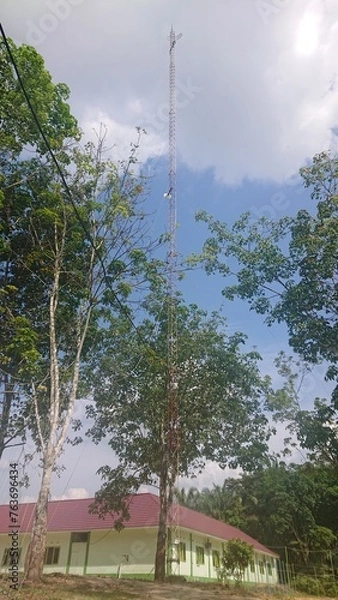 Obraz Trees and clear blue sky