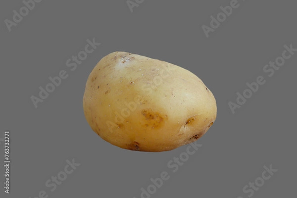 Obraz Tuber, root of potato vegetable.