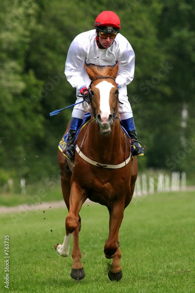 Obraz horse-racing