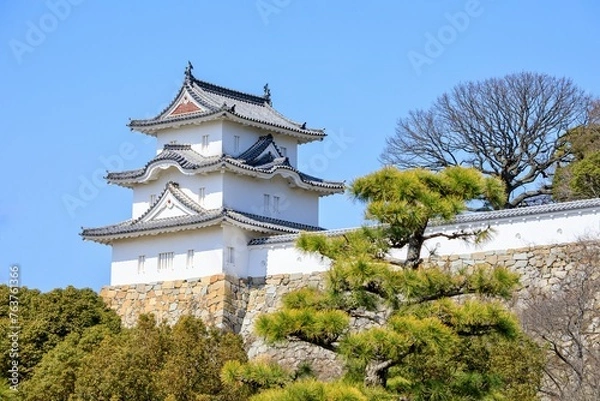 Obraz 明石市、明石城の坤櫓