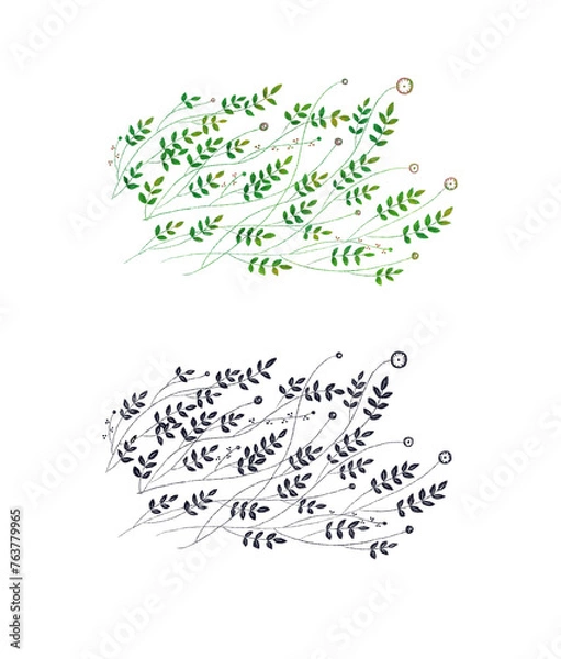 Fototapeta 葉っぱ　ツタ