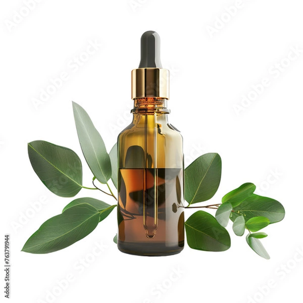 Obraz Eucalyptus oil bottle isolated on transparent background