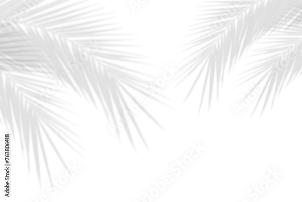Fototapeta Realistic shadow overlay effect. Natural palm leaf shadows isolated on transparent background. Coconut Leaf, foliage branch silhouette decoration. Design element object for Summer