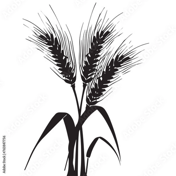 Obraz Wheat in cartoon, doodle style . Image for t-shirt, web, mobile apps and ui. Isolated 2d vector illustration in logo, icon, sketch style, Eps 10, black and white. AI Generative