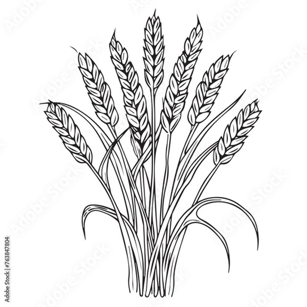 Obraz Wheat in cartoon, doodle style . Image for t-shirt, web, mobile apps and ui. Isolated 2d vector illustration in logo, icon, sketch style, Eps 10, black and white. AI Generative