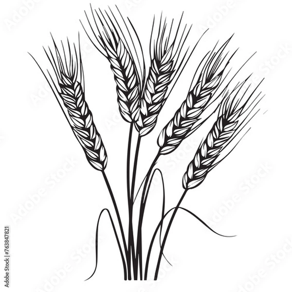 Obraz Wheat in cartoon, doodle style . Image for t-shirt, web, mobile apps and ui. Isolated 2d vector illustration in logo, icon, sketch style, Eps 10, black and white. AI Generative