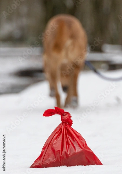 Obraz Hundekotbeutel