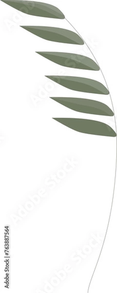 Obraz Blade of grass with sharp leaves. Vector.