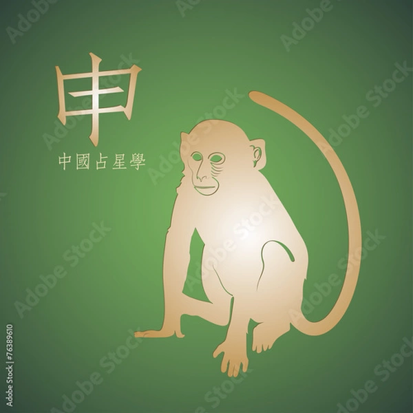Fototapeta Golden monkey on a green background