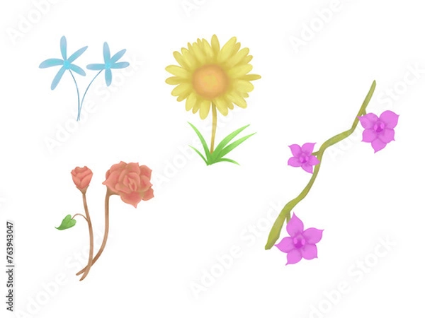 Fototapeta Flower set ilustration