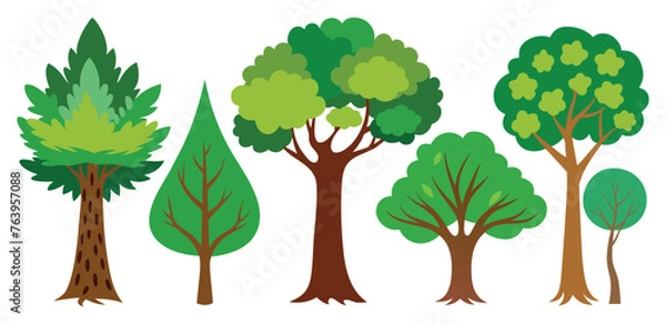 Fototapeta hand-drawn trees collection set, illustration vector for infographic or other uses