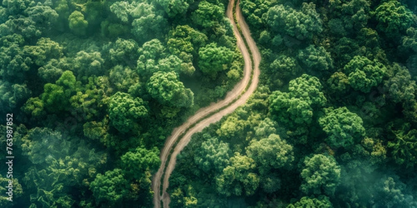 Fototapeta Meandering Road Through Dense Tropical Rainforest from Above
