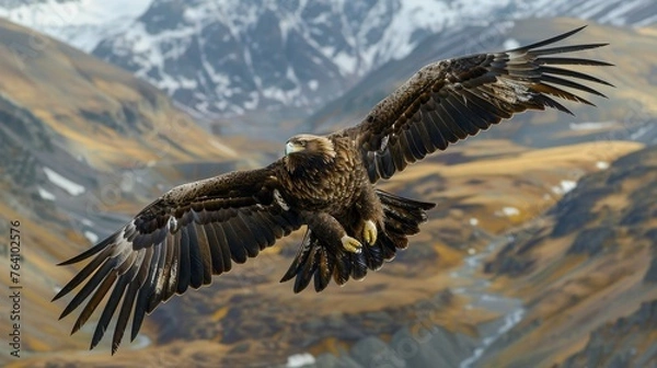 Fototapeta An awe-inspiring golden eagle is captured in mid-glide, its powerful wings stretched to their full span above the sweeping, ochre-hued alpine terrain, dusted with snow.