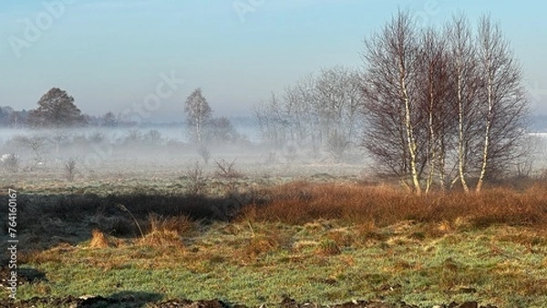 Fototapeta Wiosna na polach