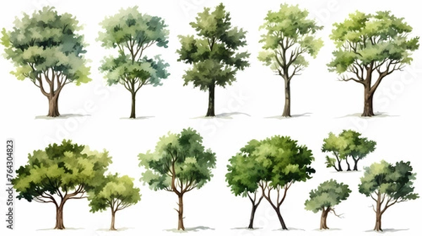 Fototapeta A set of green trees, vector illustration, in the style of watercolor, white background, simple design, high resolution