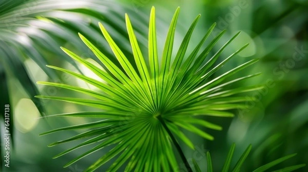 Fototapeta Minimalist interpretation of a palm leaf in shades of green  AI generated illustration