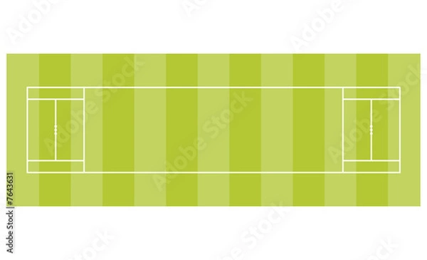 Obraz Cricket Pitch - Overhead View