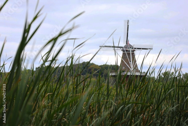 Fototapeta dutch windmill in the field