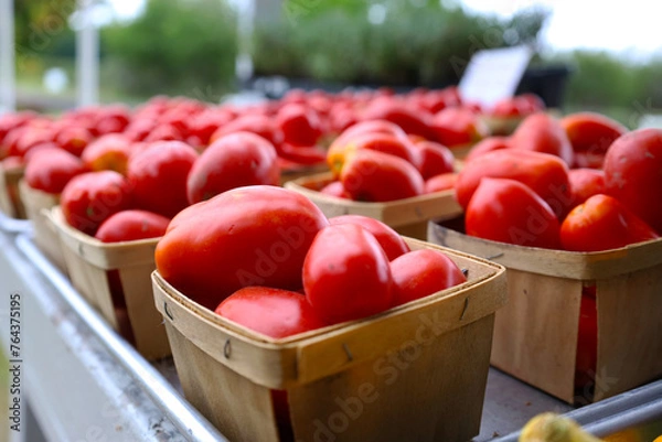 Obraz tomatoes in a basket