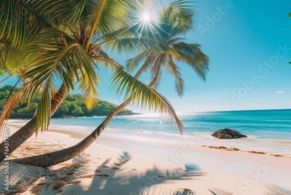 Fototapeta summer  background