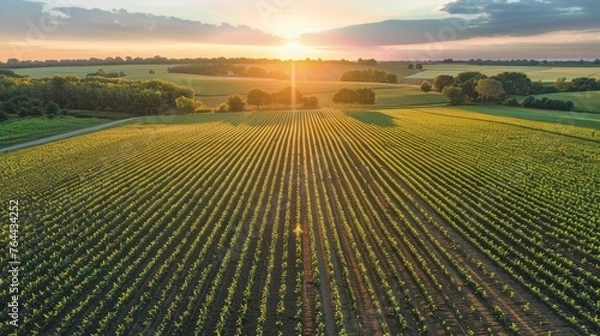 Fototapeta summer background