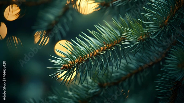 Fototapeta Christmas tree branches with bokeh lights on blurred background