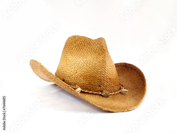 Obraz Cowboy hat