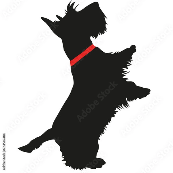 Obraz scottish terrier silhouette