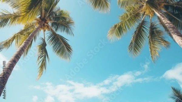 Fototapeta Blue sky and palm trees view from below, vintage style, tropical beach and summer background, travel concept