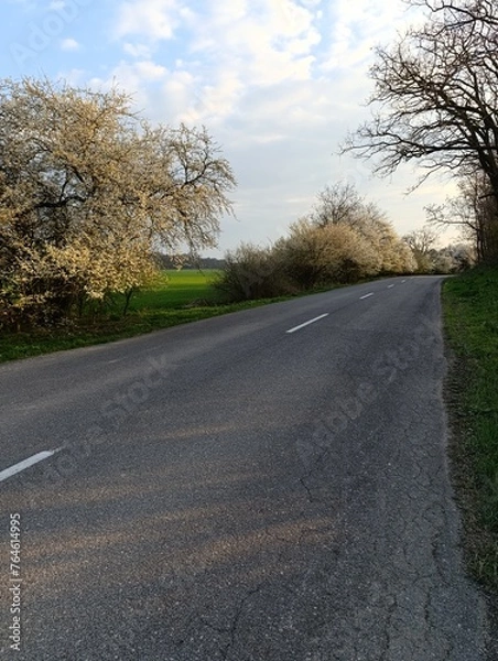 Obraz road at sunset