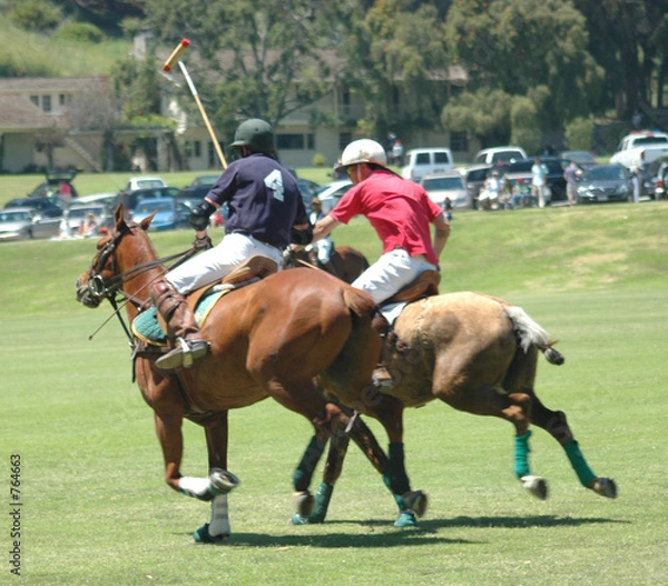 Obraz polo players