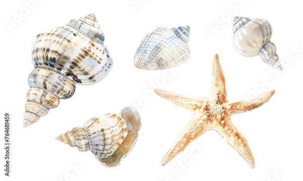 Obraz Assorted watercolor sea shells and starfish
