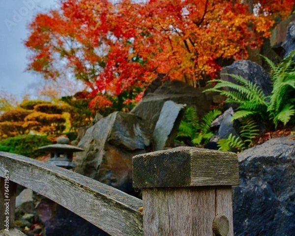 Obraz Japanischer Garten