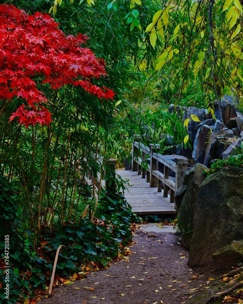 Obraz Japanischer Garten