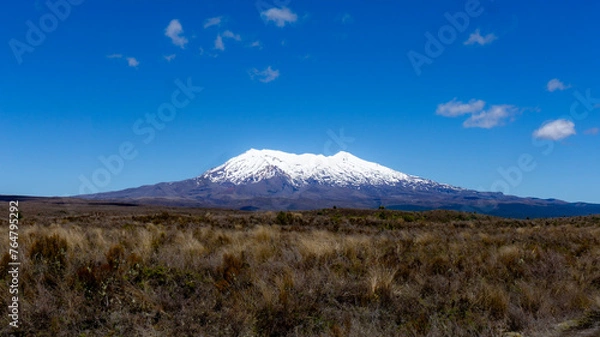 Obraz Mt. Ruapehu