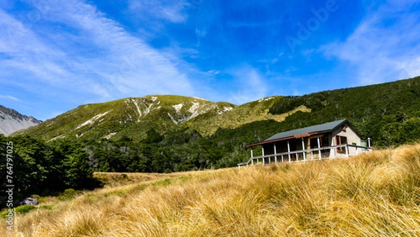 Obraz Speargrass Hut