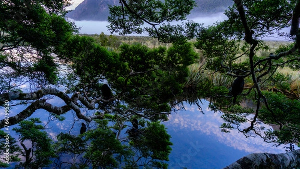 Obraz Confusing Mirror