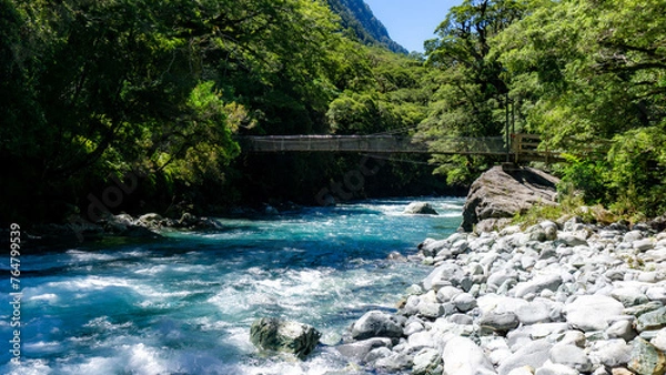 Obraz Hollyford River