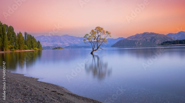 Obraz #ThatWanakaTree painted in orange