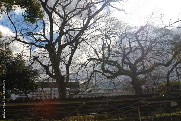 Obraz 学校、四国、愛媛、お堀、門