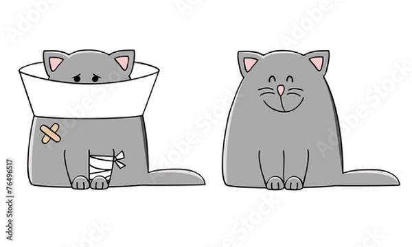 Fototapeta vector illustration of a sick cat and healthy cat