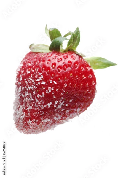 Obraz Sugared Strawberry