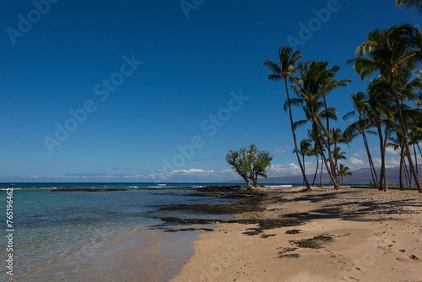Obraz hawaii island beach